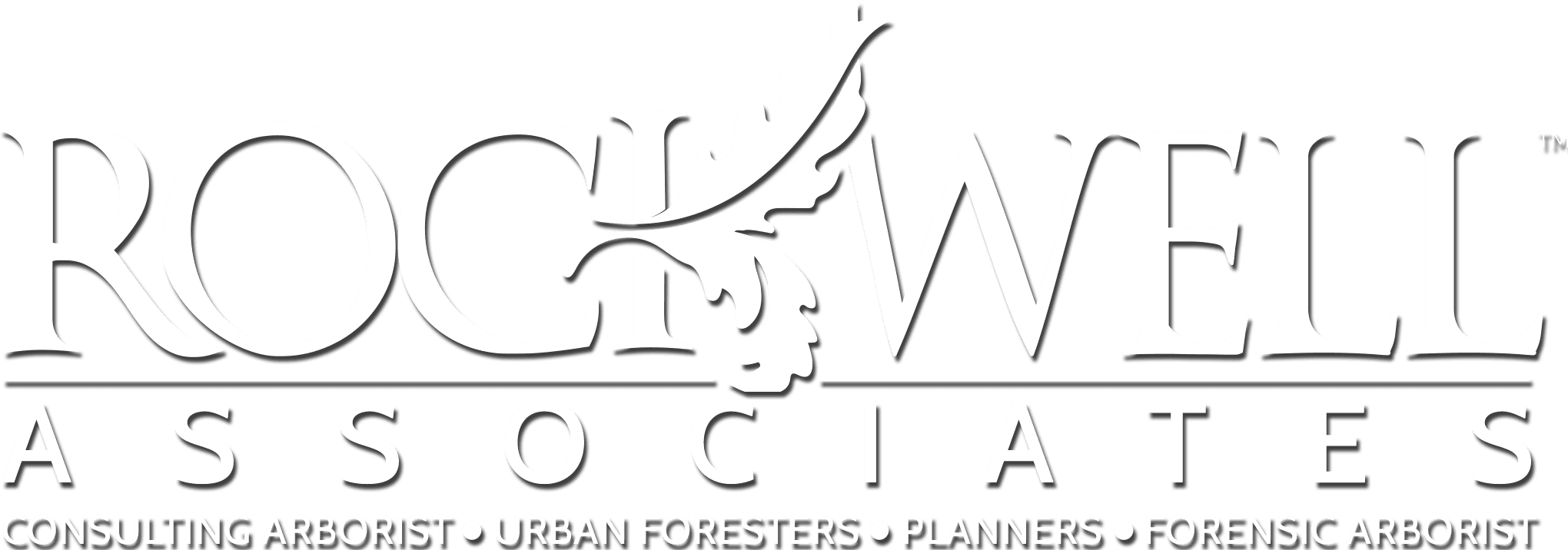ockwell Associates - Logo - White Shadow
