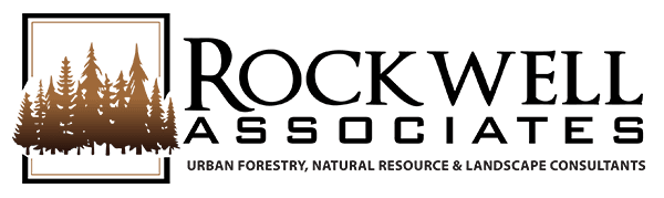 Rockwell Consultants